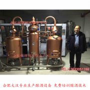 <b>苹果难卖 苹果酒设备 大汉为果农解决水果难卖的大问题</b>